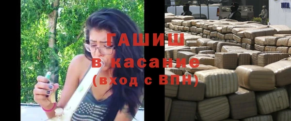 гашик Каменка
