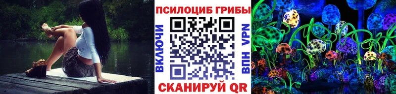 Псилоцибиновые грибы Magic Shrooms  hydra рабочий сайт  Киреевск  где найти  