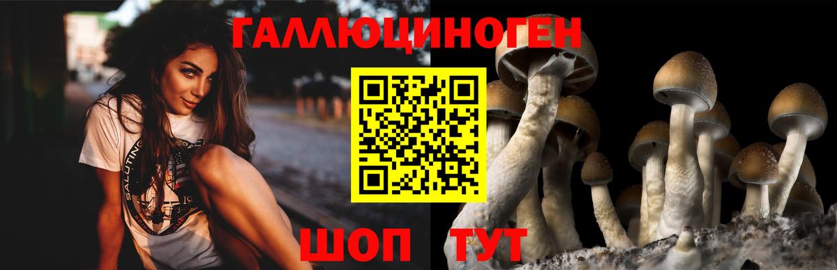 Галлюциногенные грибы прущие грибы  наркотики  Киреевск  Вход с VPN  Псилоцибиновые грибы GOLDEN TEACHER 